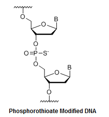 Bio-Synthesis Inc. Oligo Structure